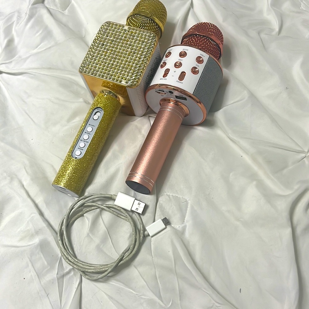 2 microphones with charger cord